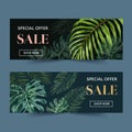 Banner design with classic tropical plants, watercolor monstera and palms vector illustration