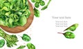Banner design green leafy vegetables with place for text