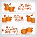 Banner design template Hello autumn. Set of designs horizontal banners with the decor of pumpkins and autumn leaves Royalty Free Stock Photo