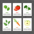 Banner design template with vegetable decoration. Set card with the decor of healthy, juicy fruit. Menu template with Royalty Free Stock Photo