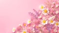 banner with different flowers, daisies. light pink background, copy space