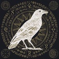 Banner with drawn white raven and sorcery signs Royalty Free Stock Photo