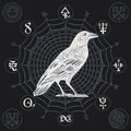 Banner with drawn white raven and sorcery signs Royalty Free Stock Photo