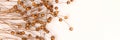 Banner with dried flax flowers on a beige background with place for your design.