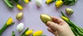 Banner with Easter greetings: close up hand holds golden egg, yellow tulips, painted white eggs lilac background. Copy space Royalty Free Stock Photo