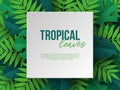 Banner with exotic jungle tropical palm leaves.