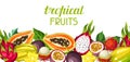 Banner with exotic tropical fruits. Illustration of asian plants
