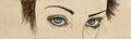 banner with eyes of intense looking woman. Royalty Free Stock Photo