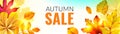 Banner with fall leaves. Autumn season discount offer with red and orange realistic foliage, horizontal poster with copy Royalty Free Stock Photo