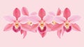 Fireworks Pattern Banner with Pink Orchids. A stylish and contemporary flat design for a fun, energetic look. Royalty Free Stock Photo