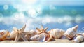 A banner featuring seashells and starfish scattered on a sandy beach, set against a backdrop of blurred sea water and Royalty Free Stock Photo