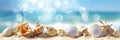 A banner featuring seashells and starfish scattered on a sandy beach, set against a backdrop of blurred sea water and Royalty Free Stock Photo