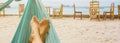 Banner with feet of a young woman in hammock on the beach. Copy Space Royalty Free Stock Photo