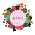 Banner with flat berries