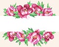 Banner with flowering pink peonies, isolated on peach background.