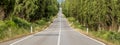 Banner format view of the famous cypress lined road leading to the ancient village of Bolgheri, Italy Royalty Free Stock Photo