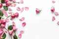 Banner with frame made of pink rose flowers and petals, springtime composition with copy space Royalty Free Stock Photo