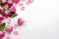 Banner with frame made of pink rose flowers and petals, springtime composition with copy space Royalty Free Stock Photo