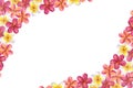 Banner frame made of plumeria frangipani garland. Floral design. Hawaiian blossom. Hand-drawn watercolor illustration