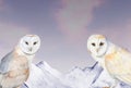 Banner or frame with watercolor illustration of snowy violet mountains and barn owl. Handmade landscape, suitable for