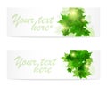 Banner of fresh green leaves of maple. Sunny spring or summer day. Awakening of nature. Cover or background for an article Royalty Free Stock Photo