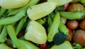 Banner. Freshly picked vegetables in the garden. Different types of peppers, tomatoes and more. Organic vegetables grown in the Royalty Free Stock Photo