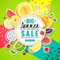 Banner fruit. Poster fresh food juice summer fruits offer sale discount price flyer card text colorful frame cartoon