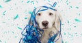 Banner funny dog celebrating new year, carnival or birthday party with blue serpentines streamers. Isolated on white background