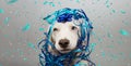 Banner funny dog party. Puppy celebrating birthday, anniversary, carnival or new year with a blue ribbon on head and serpentine.