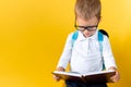 Banner Funny Preschool Child Boy in Big Glasses Reads Book on Yellow Background Copy Space. Happy Smiling Kid Go Back to Royalty Free Stock Photo