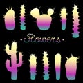 Banner with glowing silhouettes of different types of cacti and lettering.