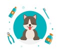 Banner group of cute dog tools and supplies in flat vector style. pet care illustration for content, label, banner Royalty Free Stock Photo