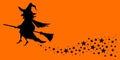 Halloween Flying Witch Star Tail Orange And Black