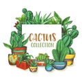 Banner with hand drawn cactus in boxes, plants