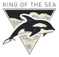 Banner with hand-drawn killer whale and sea waves Royalty Free Stock Photo