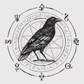 Banner with hand-drawn Raven and sorcery signs Royalty Free Stock Photo