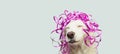 Banner happy dog present for new year, carnival, christmas, birthday or anniversary, wearing a pink serpentines on head. 