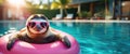 Banner with happy sloth in sunglasses in a pool floating on pink swimming ring with space for text. Concept of lazy