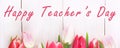 Banner. Happy teachers day with tulip flower, message for teacher in special day of education, tulip bouquet. Royalty Free Stock Photo