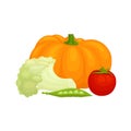 Banner that harvest theme. Vector composition of vegetables