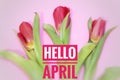 Banner hello april. Hi spring. The second month of spring. Welcome card