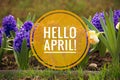 Banner hello april. Hi spring. Hello April. Welcome card We are waiting for the new spring month. The second month of spring