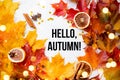 Banner hello autumn . A new season. Welcome card. September, October, November. Autumn leaves.