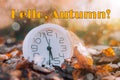 Banner hello autumn . A new season. Welcome card. September October November. Watch. It& x27;s autumn time. Autumn leaves Royalty Free Stock Photo