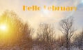 Banner hello February . Winter landscape . Snow and snow trees. Nature. Snow picture. Photo with text. The new month