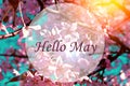 Banner Hello May. Picture with flowers. Text on a background of flowers. Hi spring. Cherry blossoms. Pink flowers. Background of