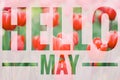 Banner hello may. Welcome picture. New month. Warm month. the month of May. Spring month