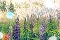 Banner hello may. Welcome picture. New month. Warm month. the month of May. Spring month