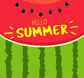 Banner Hello summer. Text on the red texture of a juicy watermelon with seeds. Royalty Free Stock Photo