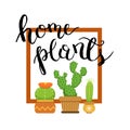 Banner with home green plant cactus